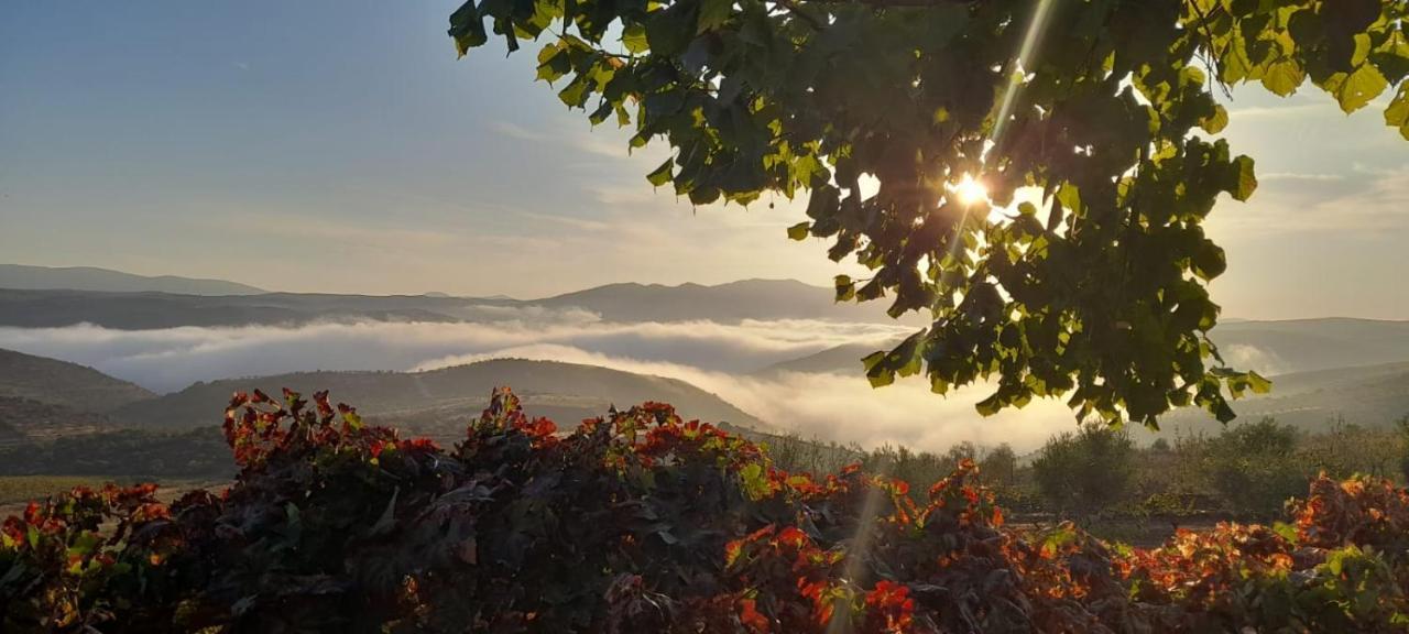 Willa Quinta Alto Da Fraga Vila Nova de Foz Côa Zewnętrze zdjęcie