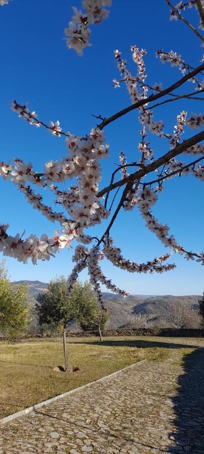 Willa Quinta Alto Da Fraga Vila Nova de Foz Côa Zewnętrze zdjęcie