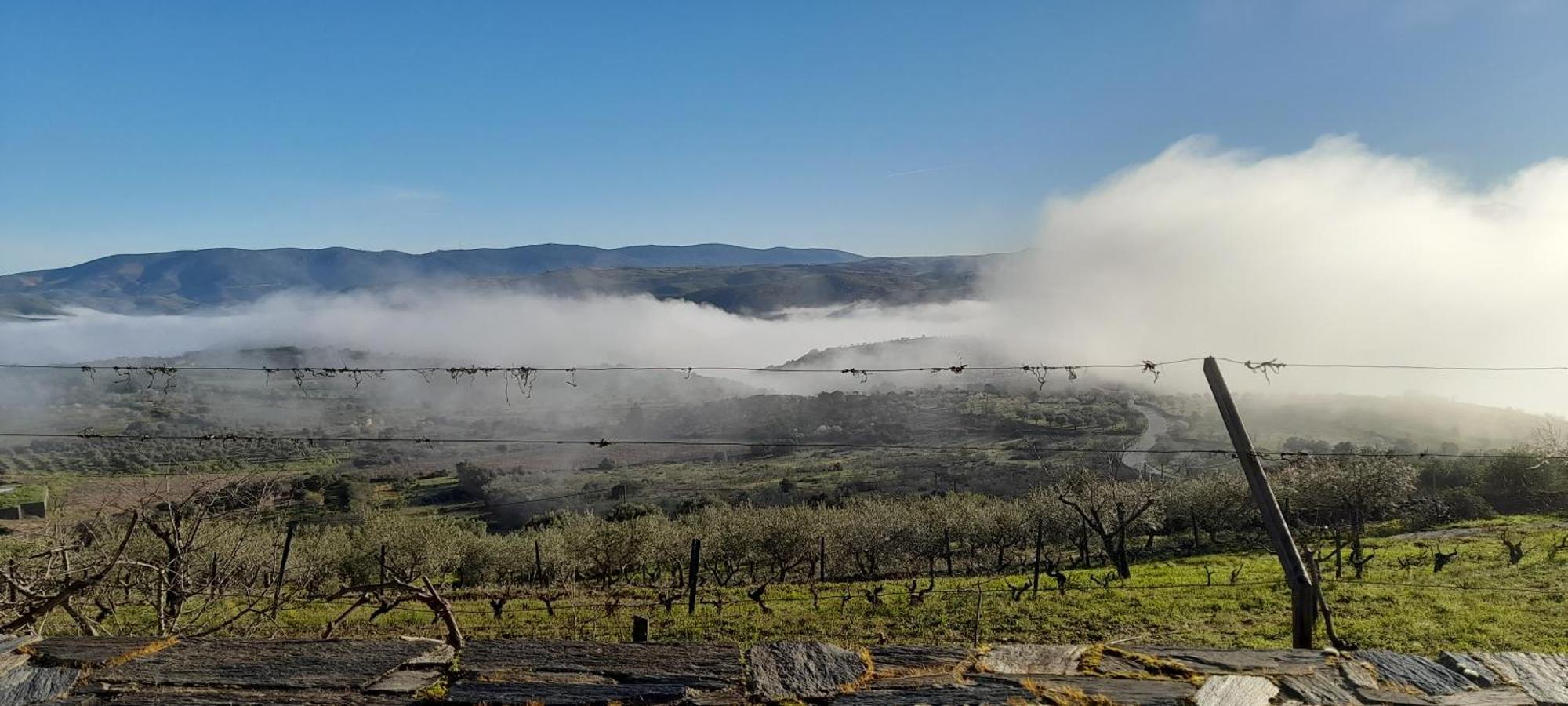 Willa Quinta Alto Da Fraga Vila Nova de Foz Côa Zewnętrze zdjęcie
